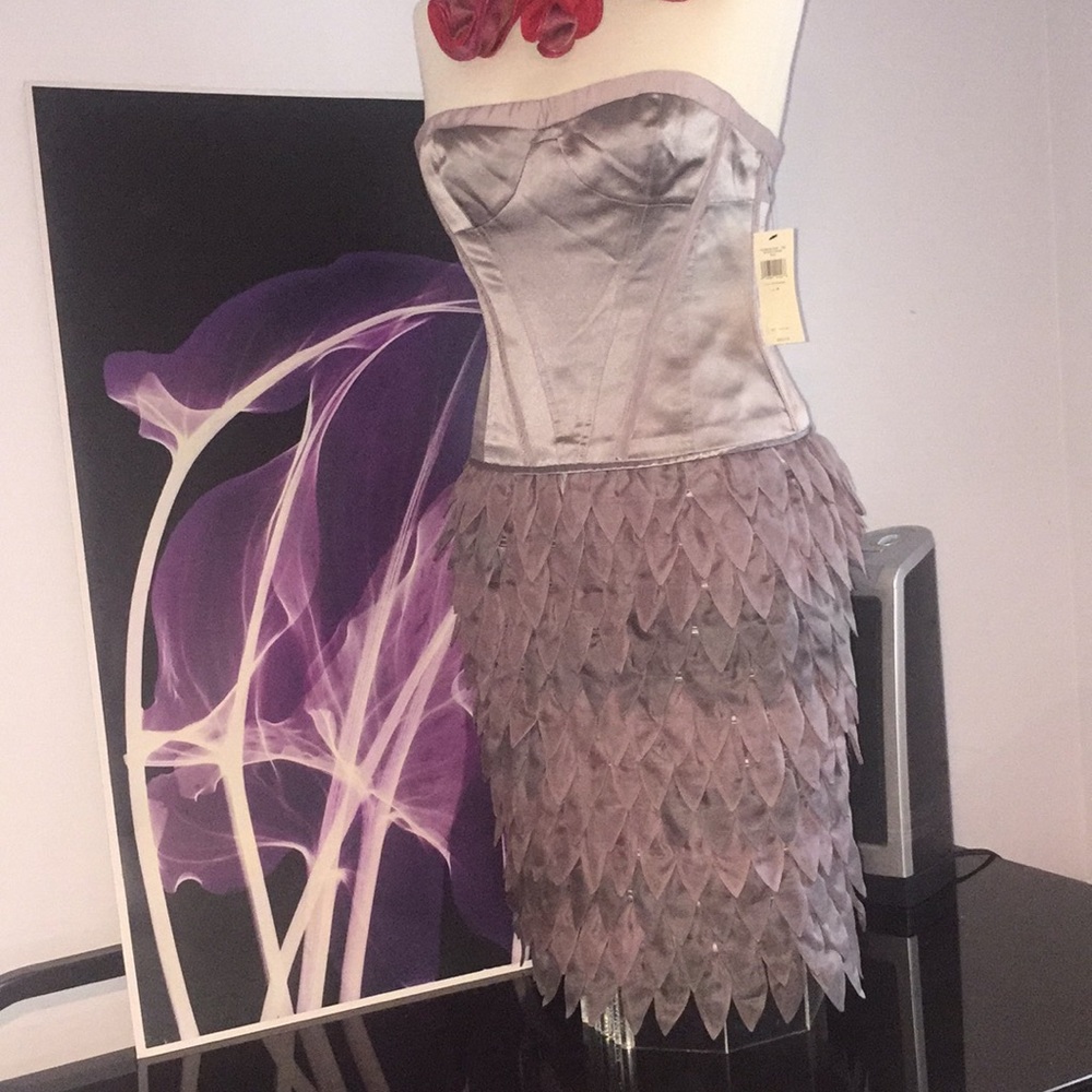 BRAND NEW RUNWAY BCBG SILK DRESS SIZE 4